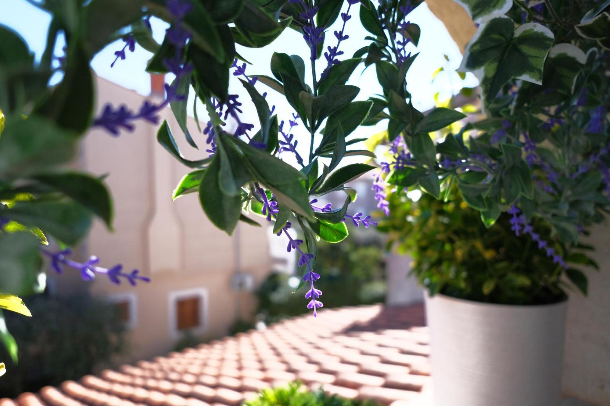 Ap Silvija Apartment Zadar Ngoại thất bức ảnh